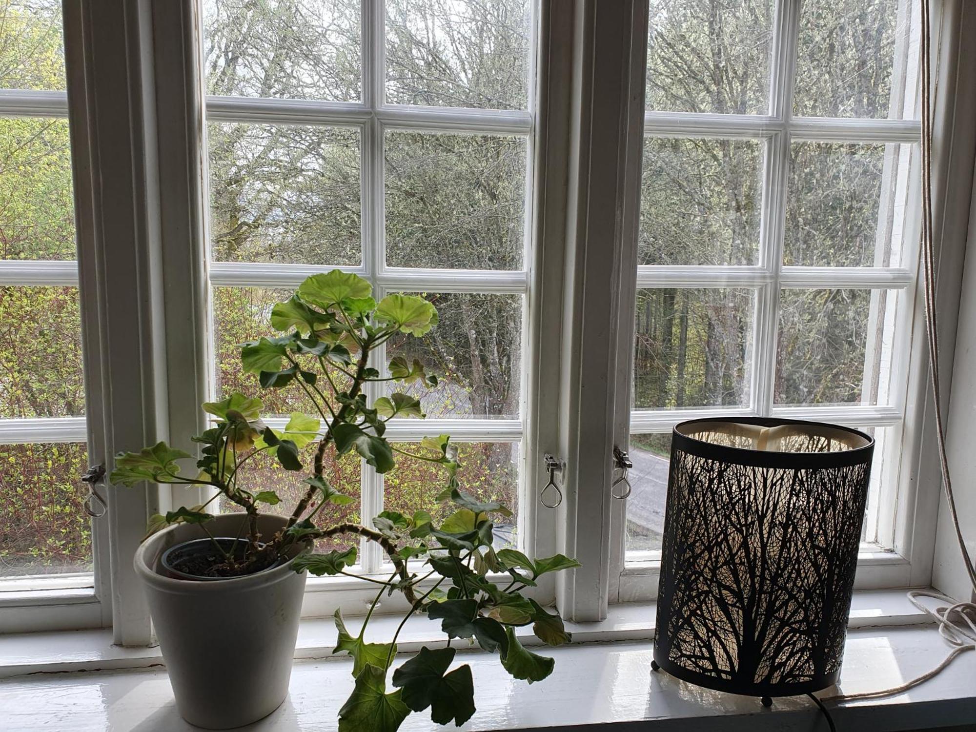 Ekeliden B&B 얼레켐 외부 사진